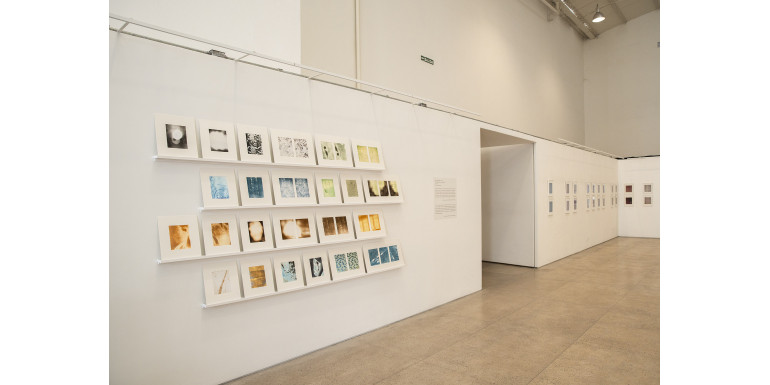 Visita guiada a "Un mar íntimo"